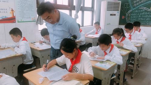 督導清風入校來，指導發展潤無聲——東臺創新小學迎雛陽投資與創新教育集團綜合督導記